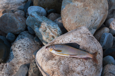 Similar image 13198701