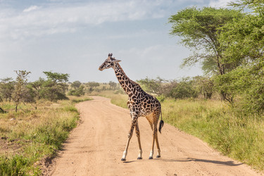 Similar image 13215149