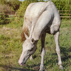 Similar image 13198906