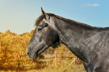 Similar image 13198917