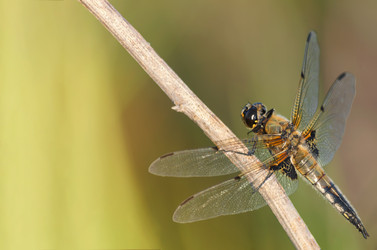 Similar image 13200599