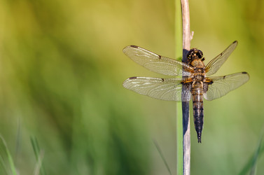 Similar image 13200600