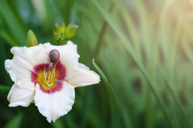 Similar image 13200605