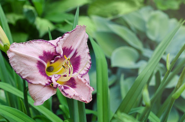 Similar image 13200607