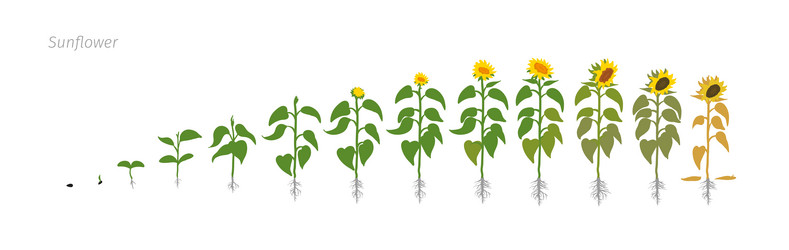 Similar image 13208113