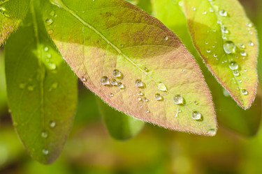 Similar image 13203908