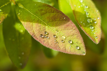 Similar image 13203909