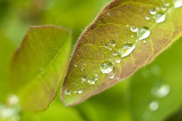 Similar image 13203911