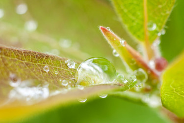 Similar image 13203912