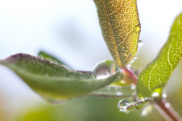 Similar image 13203914