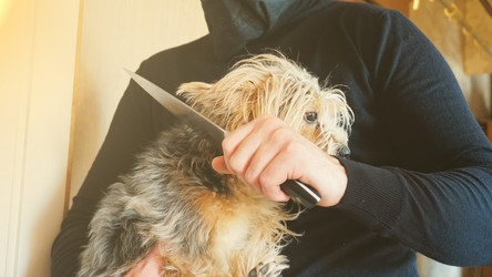 Similar image 13201823