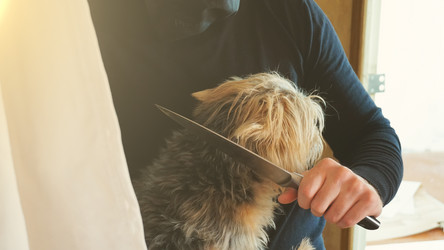 Similar image 13201824