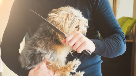 Similar image 13201825