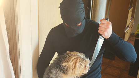 Similar image 13201826