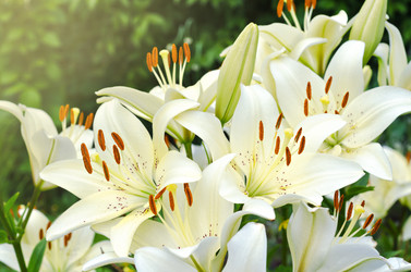 Similar image 13198920