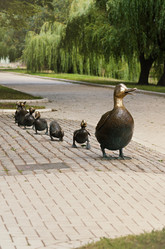 Similar image 13198989