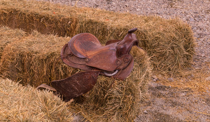 Similar image 13207293