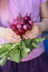 Similar image 13208611