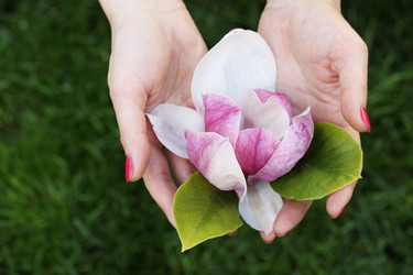 Similar image 13208593