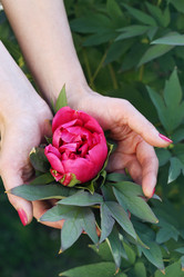 Similar image 13208616