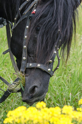 Similar image 13199060