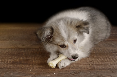 Similar image 13200608