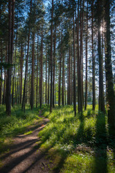 Similar image 13241091