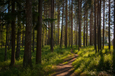 Similar image 13241092