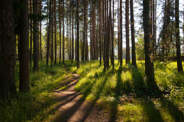 Similar image 13241094