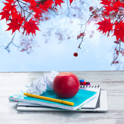 Similar image 13216299