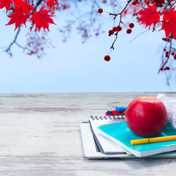 Similar image 13217149