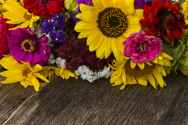 Similar image 13217189