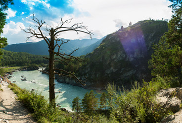 Similar image 13199086