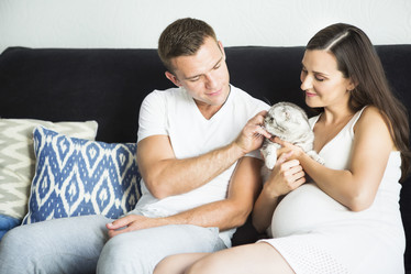 Similar image 13196830