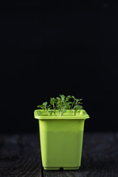 Similar image 13198711