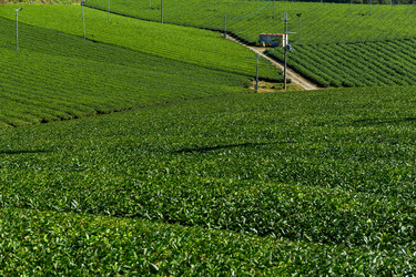 Similar image 13226836