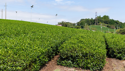 Similar image 13226457