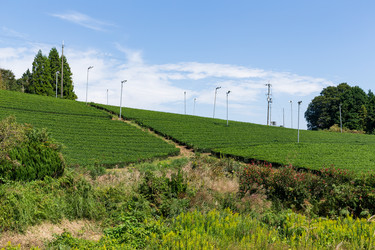 Similar image 13226877