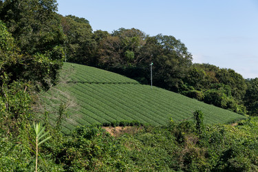 Similar image 13226477