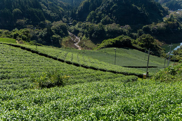 Similar image 13226478