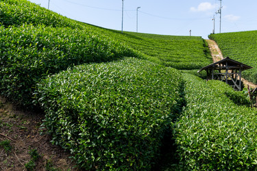 Similar image 13226885