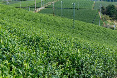 Similar image 13226497