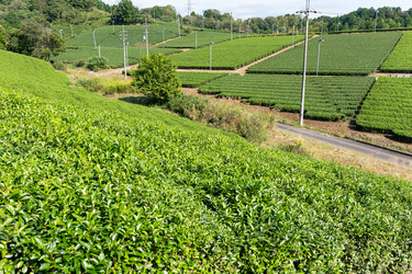 Similar image 13227095