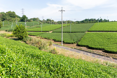 Similar image 13226518