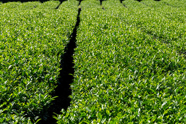 Similar image 13227551