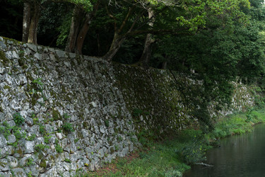 Similar image 13227764