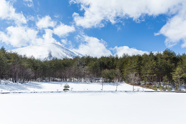 Similar image 13227837