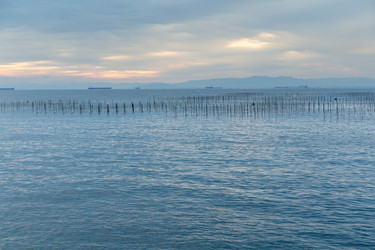 Similar image 13224683