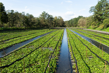 Similar image 13225063