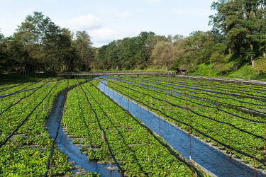 Similar image 13225082